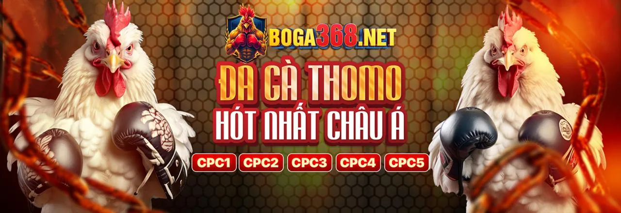 Chứng nhận an toàn và bảo mật của 888vip
